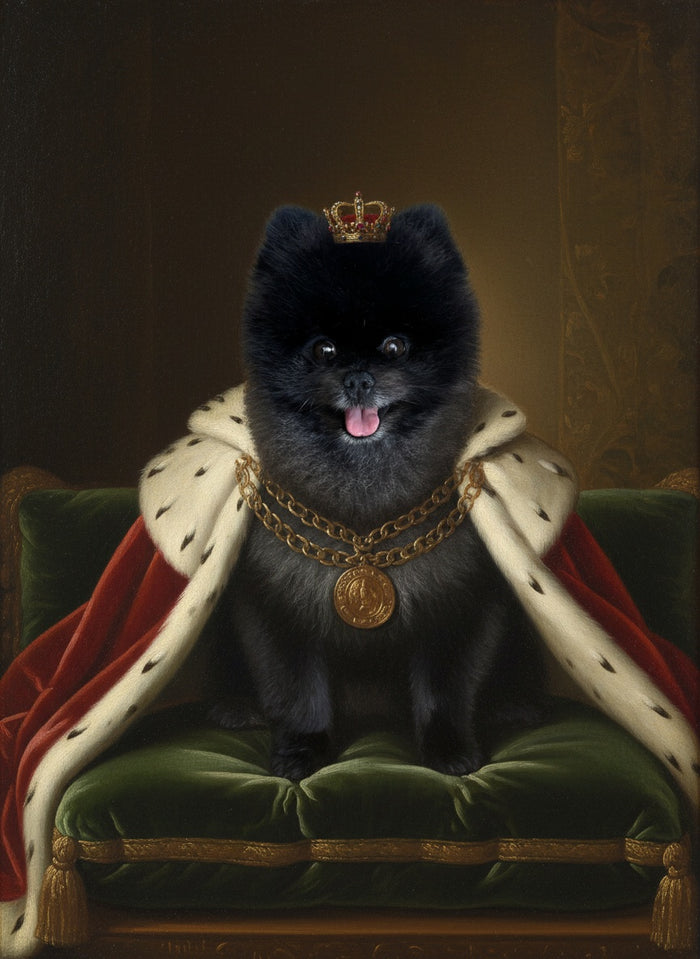 Pomeranian als König gemalt, mit Hermelinumhang und Krone