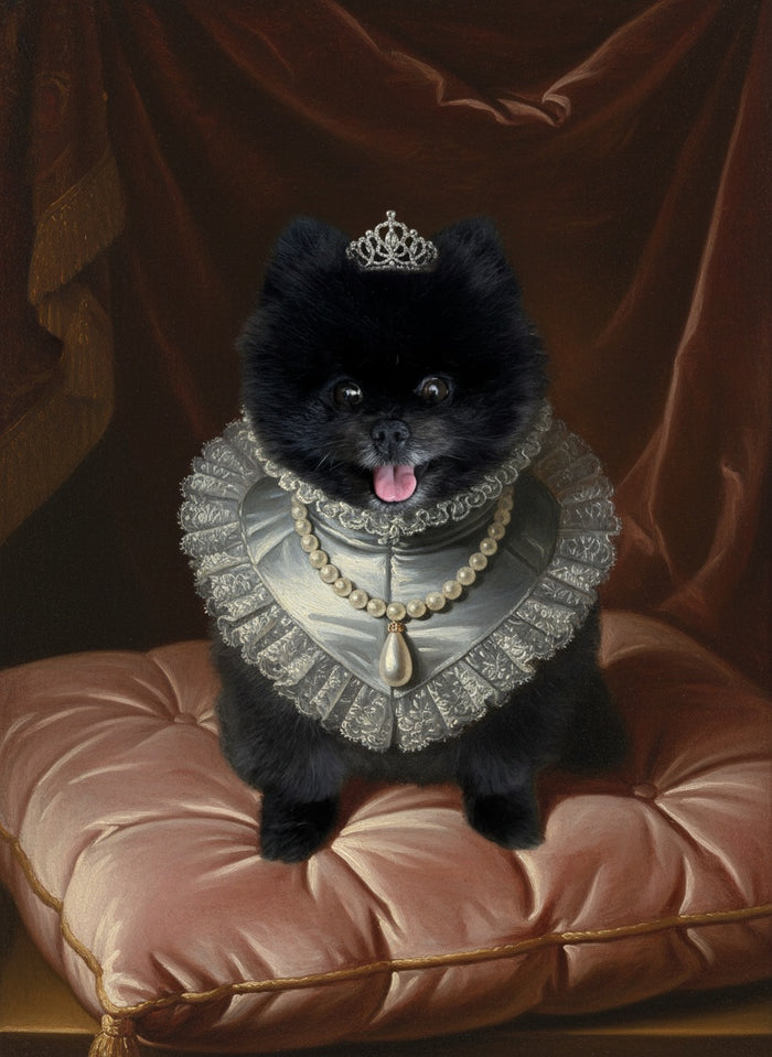 Pomeranian als Königin gemalt, im Seidenkleid mit Diadem